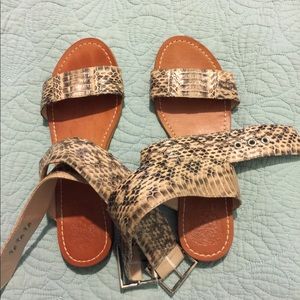 Vince Comuto Snakeskin Sandals!